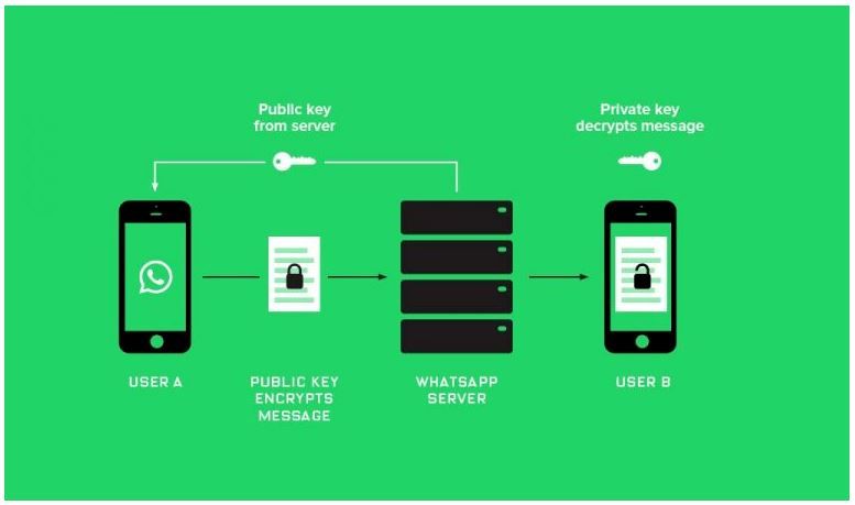 WhatsApp encryption infographic